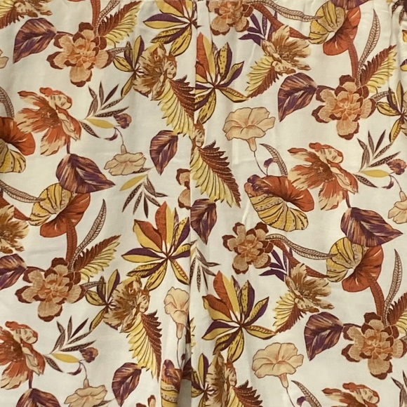 Cato Pants - Picture 4 of 8